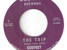RARE GARAGE  /  PSYCH   GODFREY & GODFREY'S GROUP  THE TRIP  CEE-JAM  KIM FOWLEY