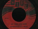 Islands 45   Revolution of St. Vincent   Let Your Love Flow   WIRL   mp3