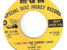 NORTHERN SOUL  MAMIE LEE   I CAN FEEL HIM SLIPPING AWAY