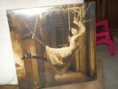 PORCUPINE TREE-