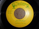 Northern Soul 45 Royal Jesters 