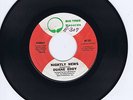 DUANE EDDY - NIGHTLY NEWS / RENEGADE - USA BIG TREE label  - Near MINT