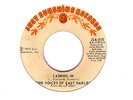 Voices Of East harlem - Cashing In Northern Soul