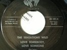 RARE SWEET SOUL ....THE SENSATIONS WILD ( RAM )