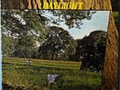 DAYLIGHT / 1971 ENGLISH FOLK/JAZZ/PROGRESSIVE RARITY / RCA SF8194 /  EX