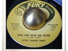 Little Junior Lewis Can She Give Me Fever R&B SOUL MOD HEAR 45