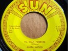 * ANITA WOOD I'll Wait Forever/I Can't Show RARE ROCKABILLY ELVIS Sun 45 HEAR