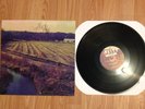 SIGNED Glamour Kills Tour Vinyl The Wonder Years Story So Far Into It Over It