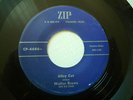 45 Rare Rockabilly  Walter Brown and His Band - Alley Cat/Jelly Roll Rock ZIP