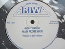Mad Proffessor Aztec Warrior Shaka Killer UK  Digi 12