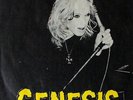 GENESIS IN THE BEGINNING  7