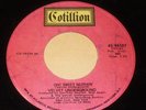 Velvet Underground   Who Loves the Sun / Oh Sweet Nuthin' Cotillion #44107 RARE