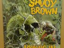 SAVOY BROWN LOOKING IN OG UK STEREO DECCA LP 1W/1W MINT