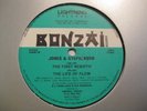 BONZAI 93034   JONES & STEPHENSON - THE FIRST REBIRTH