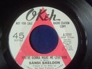 SANDI SHELDON - YOU'RE GONNA MAKE ME LOVE YOU - PROMO ON OKEH - 