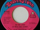 VICKI ANDERSON / IN THE LAND OF MILK AND HONEY / LISTEN