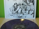 Rolling Stones - Welcome To  New York  Swingin` Pig Records LP Vinyl Topzustand