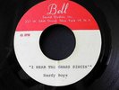 HARDY BOYS - I Hear The Grass Singin' TEST PRESSING sunshine psych pop beat '69