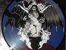 MIDNIGHT PICTURE DISC LP BERLIN IS BURNING SPITS 500MADE PUNK KBD ABIGAIL TRASH