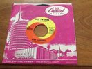 Glen Campbell Guess I'm Dumb Capitol 5441 Brian Wilson