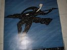 Diaframma - Siberia tour 85 - raro manifesto 70x100