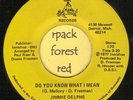 JIMMIE DELPHS - Do You Know What I Mean - D.S.S.I.  7