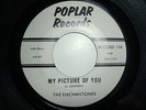 RARE DOO-WOP 45. THE ENCHANTONES-MY PICTURE OF YOU/WE FELL IN LOVE