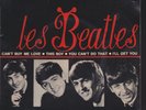 Beatles Can't Buy Me Love + # France Import Ep With Picture Sleeve