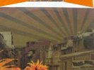 Broilers La Vida Loca oranges Vinyl RAR