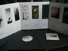 Her Name is Calla - The Quiet Lamb / Mogwai, Ef, God Is An Astronaut, Sigur Ros