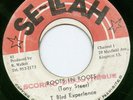 Rare ROOTS IN ROOTS Tony Steer T Bird Experience SE-LLAH Label 7