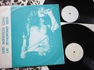 LED ZEPPELIN - LIVE ON BLUEBERRY HILL - 2 LP US - RARE LIVE IN INGLEWOOD 1970