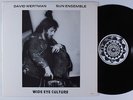 DAVID WERTMAN Wide Eye Culture SUNMUSE LP VG++ private spiritual jazz