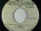 Reggae 45 WAILERS / JACKIE MITTOO What Am I Supposed To Do / Do The Boogaloo