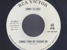 Jimmy Elledge  Turn My Voodoo On  R&B NEW BREED ROCKABILLY 45  hear