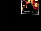 Sandinistas 
