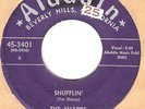 45rpm record; SHARPS , WHAT WILL I GAIN , RB-DOOWOP ' 'RARE '