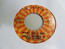 ANITA HUMES & ESSEX What Did I Do 45 ROULETTE  Northern soul  VG+