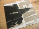 PEARL JAM  - TEN 2 LP  LIMITED EDITION  VINYL 2LP NM  wieNEU