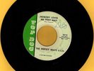 tuff garage MERSEY BEATS U.S.A. Nobody Loves Me That Way TOP DOG    NRBQ   HEAR