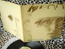 BATTIATO-SULLE CORDE DI ARIES-BLA BLA-BBXL10003-1973-DISCHI VINILE 33 GIRI 12