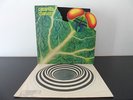 CATAPILLA ''CHANGES'' ORIG UK VERTIGO SWIRL MONSTER RARE LP PROG PSYCH