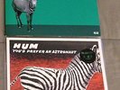 Hum 12