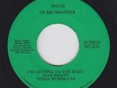 Funk 45 - Third Membrane - Getting To You Baby - House Of Big Brother - mp3