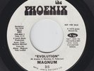 Funk 45 - Magnum - Evolution - Phoenix - mp3
