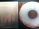 If These Trees Could Talk Red Forest Vinyl LP Caspian Mylene Sheath