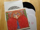 FUCKED UP 'Hidden World' 2xLP /340 pre-order vivian girls best coast punk  
