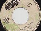 '76 NAVARA KILLER ROOTS REGGAE 45 PETER NOEL HELPING HAND satta massagana ?