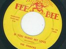 Northern -- Ithacas - If you want my love / Gonna fix you good {Fee Bee}