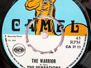 The Sensations - The Warrior - Camel Records (CA 31) Rare Ska Reggae Rocksteady